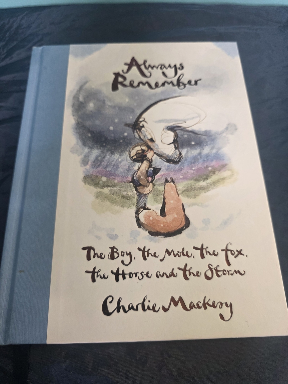 'Always Remember' Illustration Hardcover - Blue/White